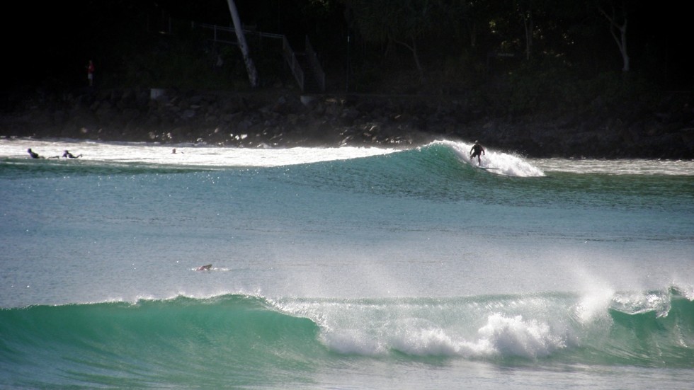 Noosa surfing.jpg